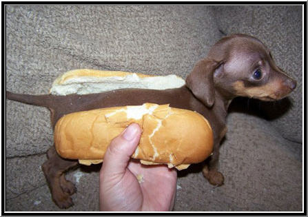 hot_dog1.jpg